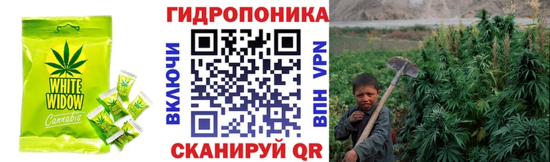 Еда ТГК конопля Железноводск