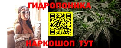 мяу мяу мука Азнакаево