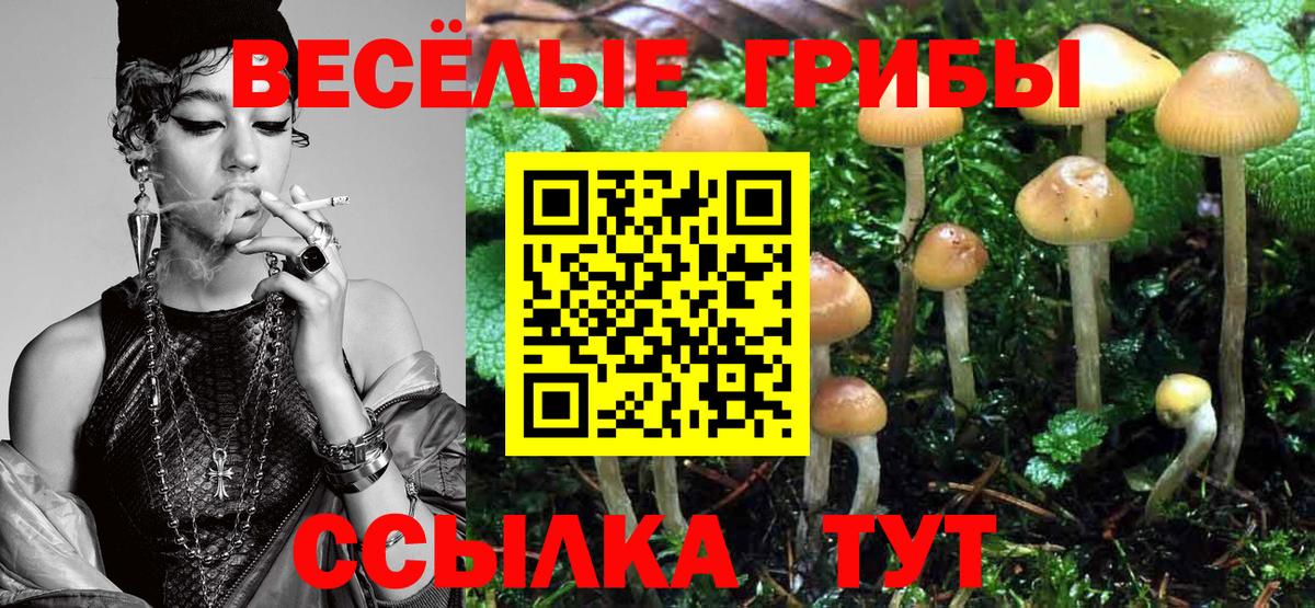 ГАШИШ  Каннабис  Железноводск  Где продают наркотики?  Меф МЯУ МЯУ   АМФЕТАМИН кристаллы  МДМА  ЭКСТАЗИ 